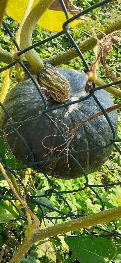 Alloggio per agriturismo Agriturismo Grammelot Sarnico Italia